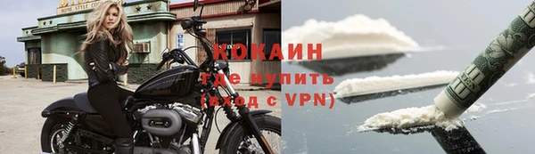 шишки Волосово
