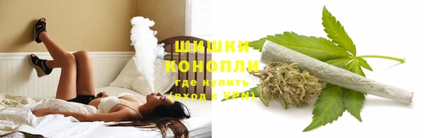 шишки Волосово