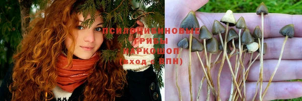 прущие грибы Володарск